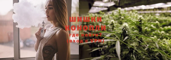 молекула духа Кулебаки