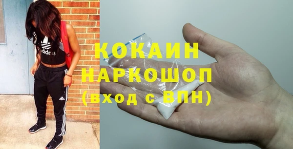 сатива Куйбышев