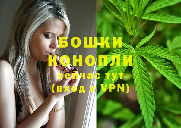 сатива Куйбышев