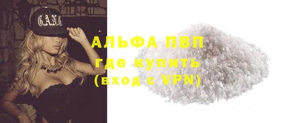 сатива Куйбышев