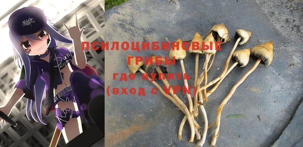молекула духа Абинск