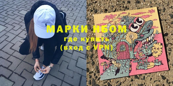 молекула духа Кулебаки