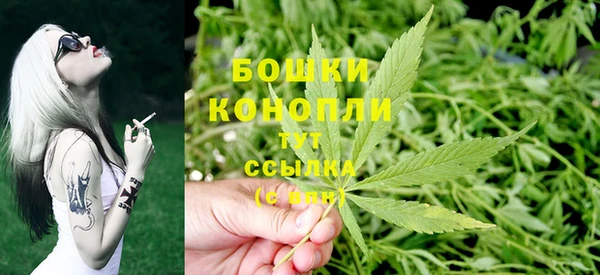 сатива Куйбышев