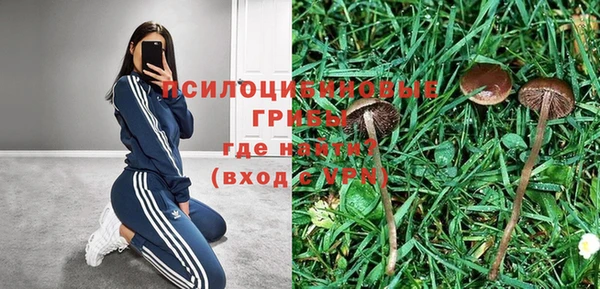 прущая мука Абдулино