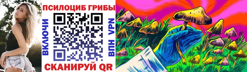 Псилоцибиновые грибы ЛСД  блэк спрут tor  Горячеводский 